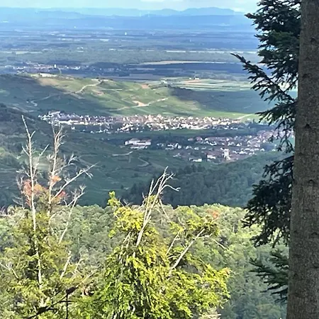 Vignoble Alsace Apartment