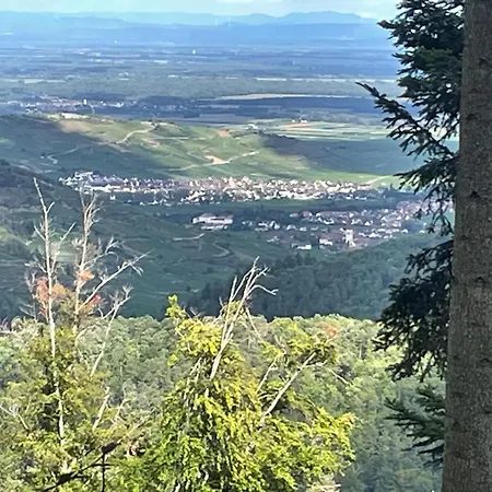 Vignoble Alsace 아파트